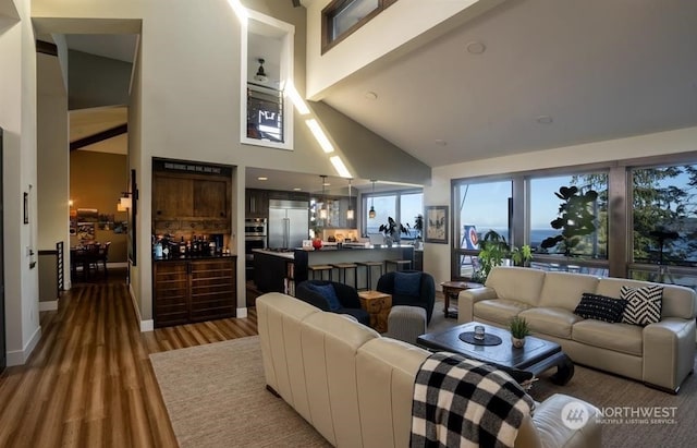 living room featuring hardwood / wood-style floors and high vaulted ceiling