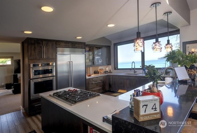 kitchen with appliances with stainless steel finishes, decorative light fixtures, sink, dark hardwood / wood-style flooring, and dark brown cabinetry