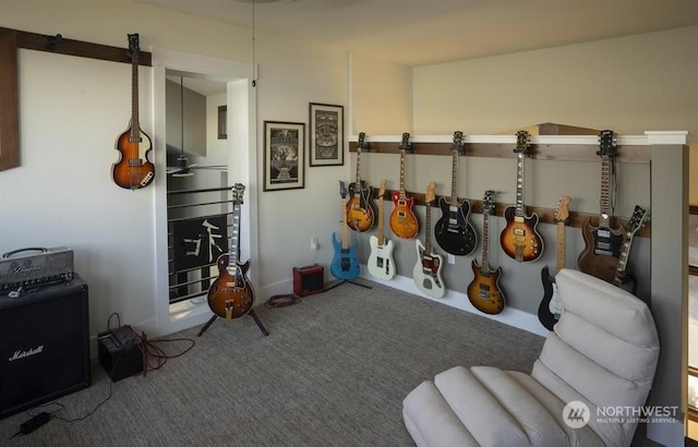 miscellaneous room with carpet flooring