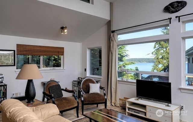 living room featuring lofted ceiling