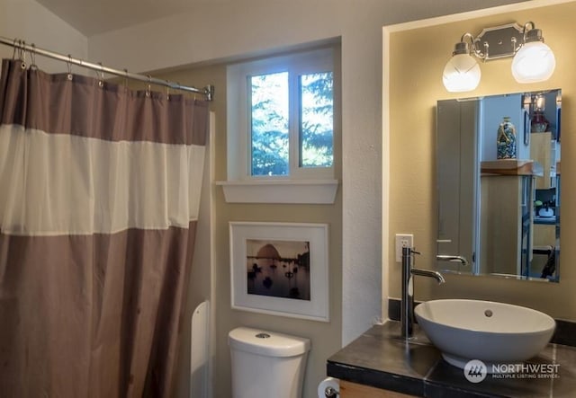 96 Forrest Rd, Sequim, WA 98382 - full bathroom with toilet, vanity, and curtained shower