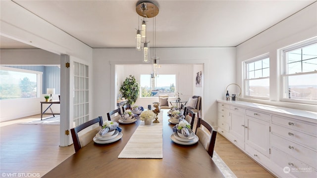 dining room featuring a healthy amount of sunlight and light hardwood / wood-style flooring