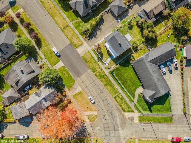 bird's eye view