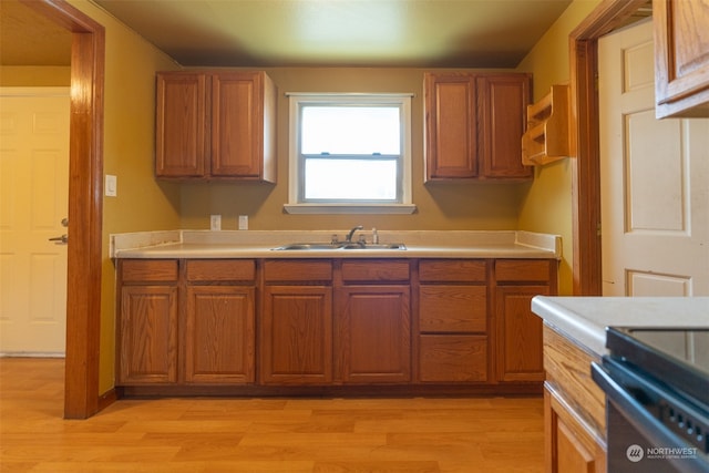 kitchen with light wood-type flooring and sink