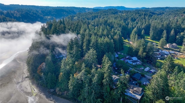 10012 Brush Arbor Ln NW, Seabeck, WA 98380 - bird's eye view of a forest and a mountainous background