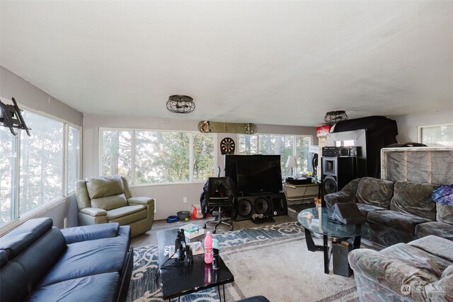 10012 Brush Arbor Ln NW, Seabeck, WA 98380 - view of living room