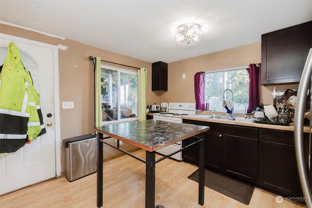 10012 Brush Arbor Ln NW, Seabeck, WA 98380 - kitchen featuring white electric range oven, light wood-type flooring, a sink, and plenty of natural light
