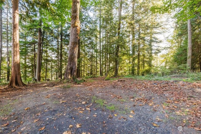 10012 Brush Arbor Ln NW, Seabeck, WA 98380 - view of tree filled area