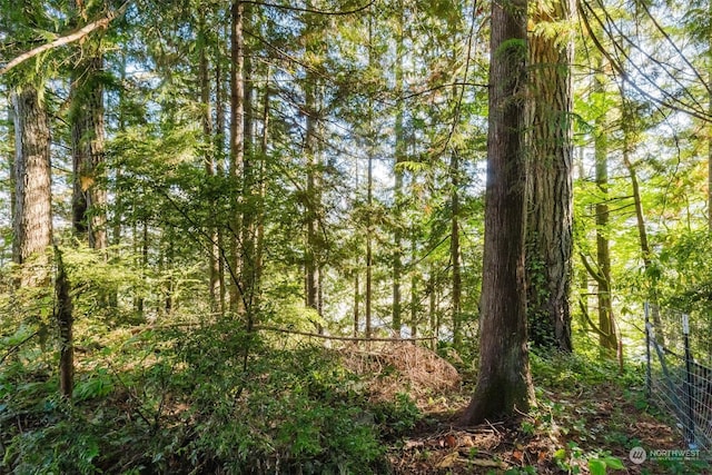 10012 Brush Arbor Ln NW, Seabeck, WA 98380 - view of woods