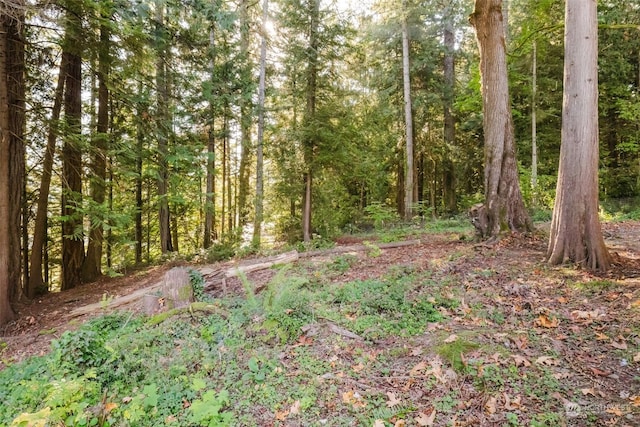 10012 Brush Arbor Ln NW, Seabeck, WA 98380 - view of woods