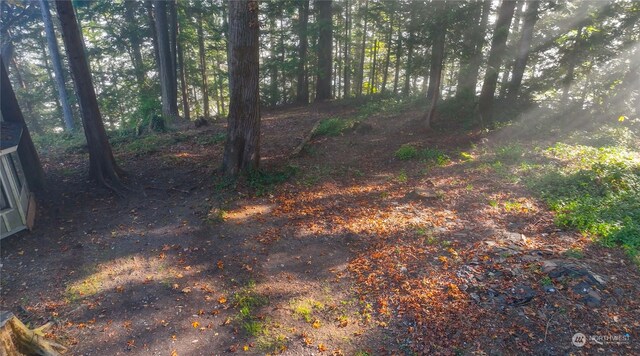 10012 Brush Arbor Ln NW, Seabeck, WA 98380 - view of undeveloped land