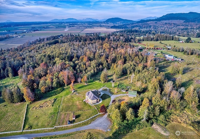 aerial view featuring a mountain view and a rural view