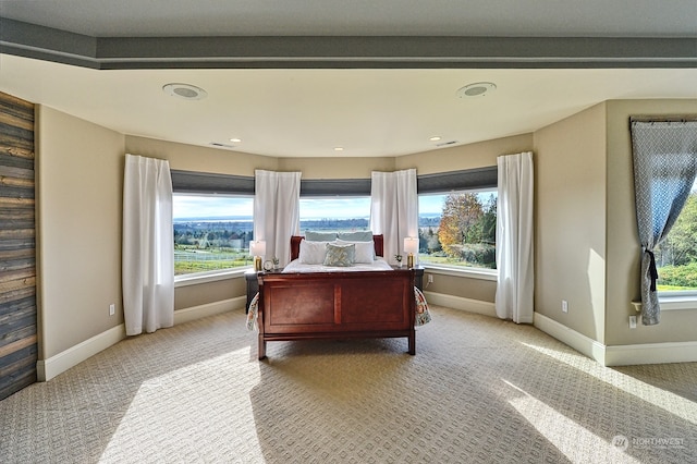 bedroom featuring multiple windows and carpet floors