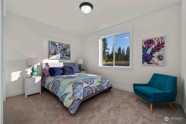 15601 210th Ave E, Bonney Lake, WA 98391 - photo 28