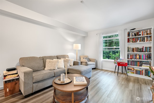 living room with light hardwood / wood-style floors