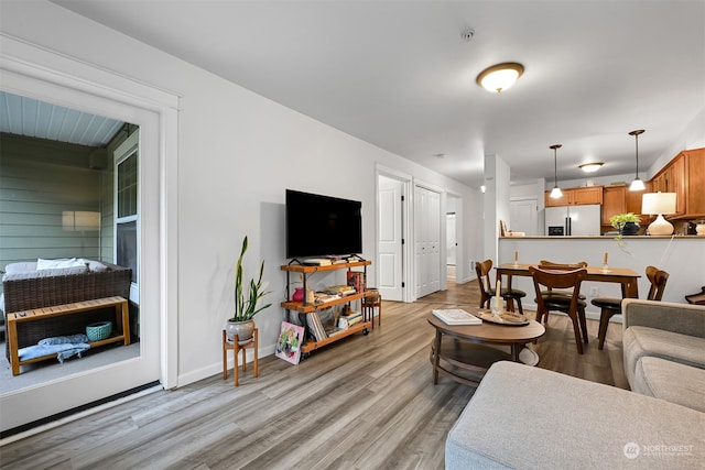 living room featuring light hardwood / wood-style floors