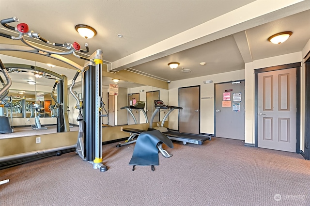 exercise room with carpet