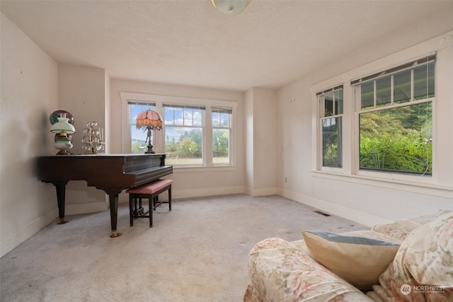 sitting room featuring light carpet