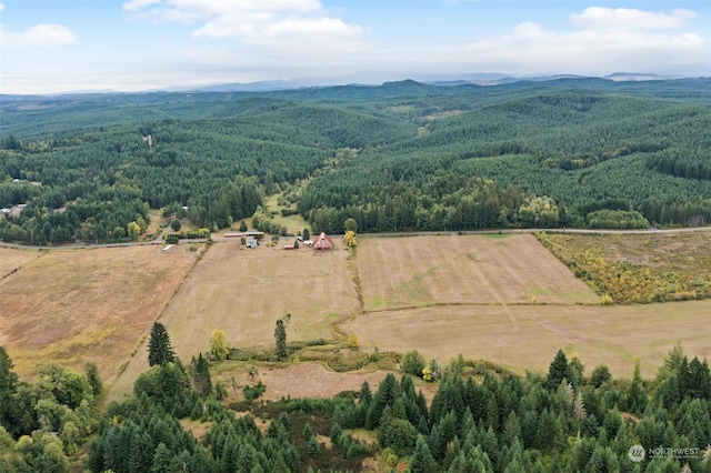 bird's eye view with a mountain view