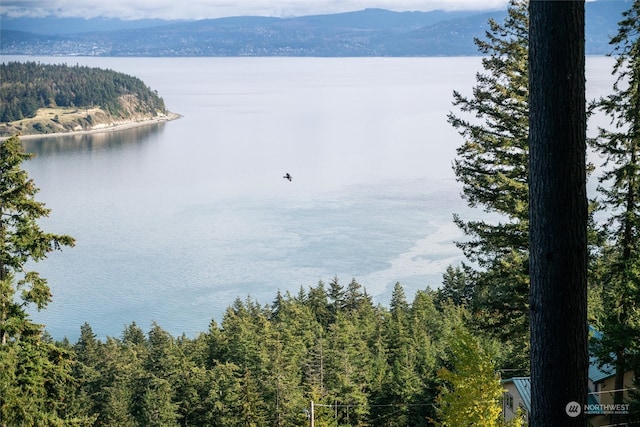 water view with a mountain view