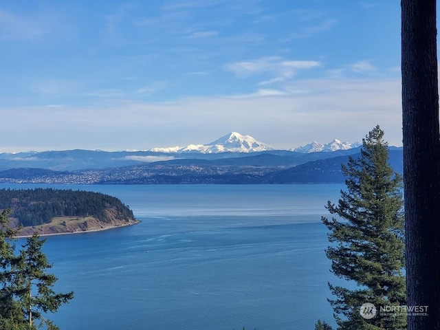 property view of water with a mountain view