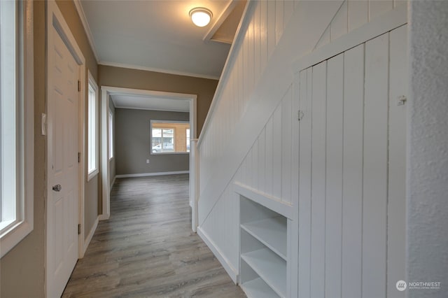 corridor with light hardwood / wood-style floors and ornamental molding