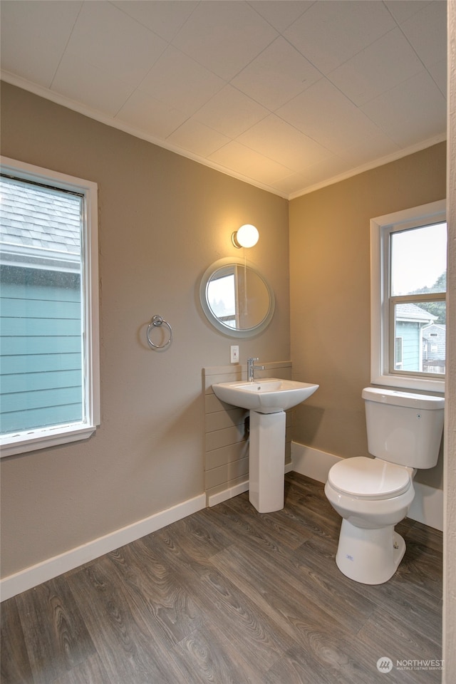 bathroom with ornamental molding, hardwood / wood-style flooring, and toilet