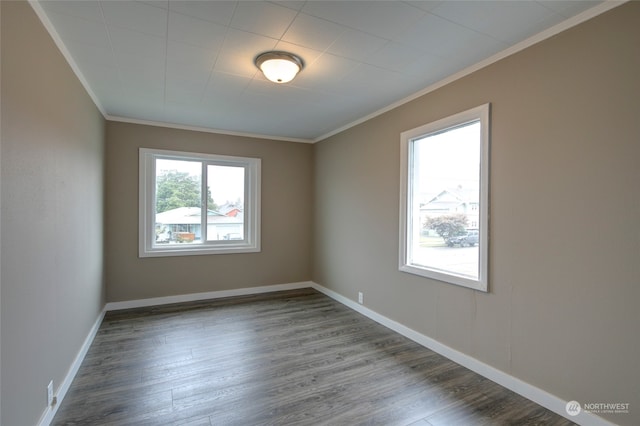 empty room featuring ornamental molding and hardwood / wood-style floors