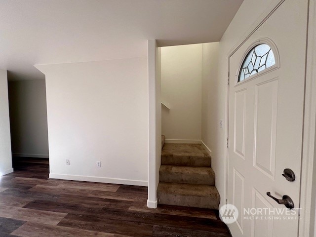 entrance foyer with dark wood-type flooring