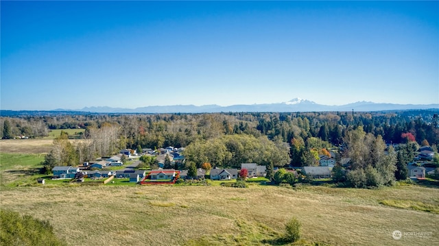 birds eye view of property featuring a mountain view