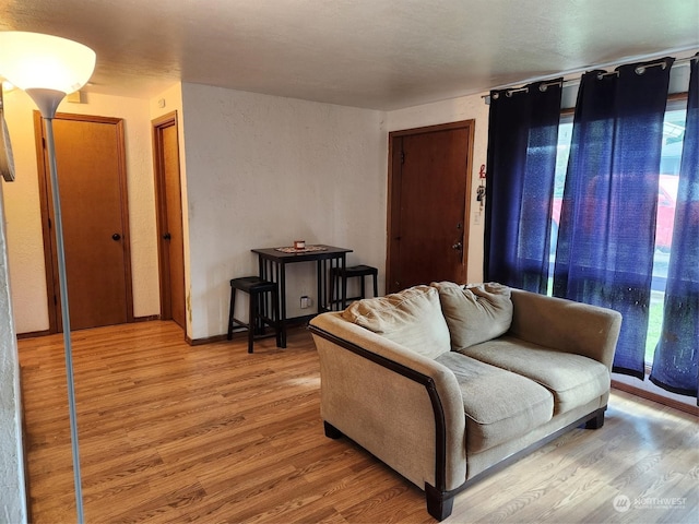 living room featuring wood-type flooring