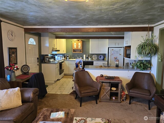 living room with sink, a textured ceiling, and light colored carpet