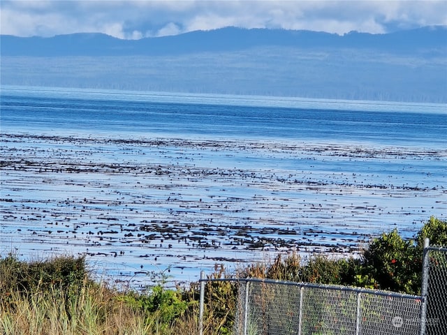 water view featuring a mountain view