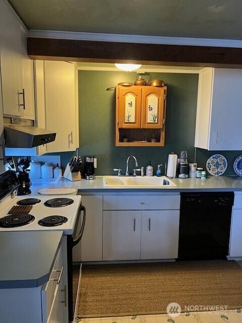 61 Salt Air St, Clallam Bay, WA 98326 - kitchen with electric range oven, black dishwasher, under cabinet range hood, a sink, and crown molding