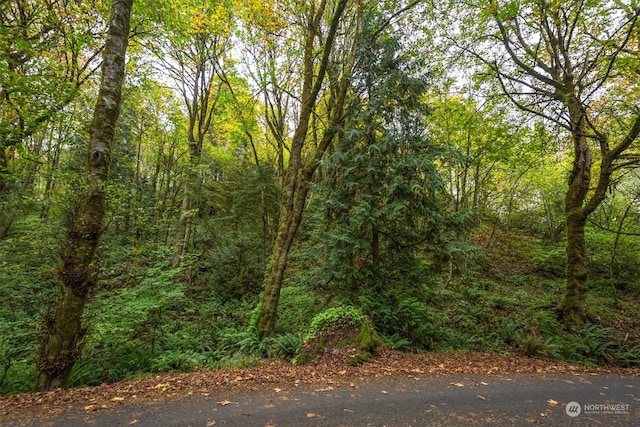 0 Niemi Rd, Longview WA, 98632 land for sale