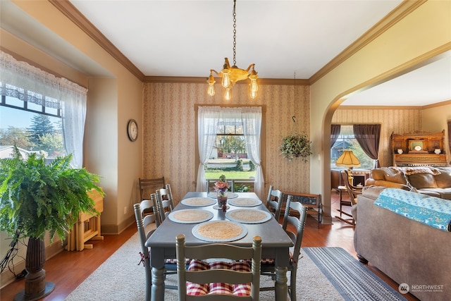 dining area with hardwood / wood-style flooring, ornamental molding, and a chandelier