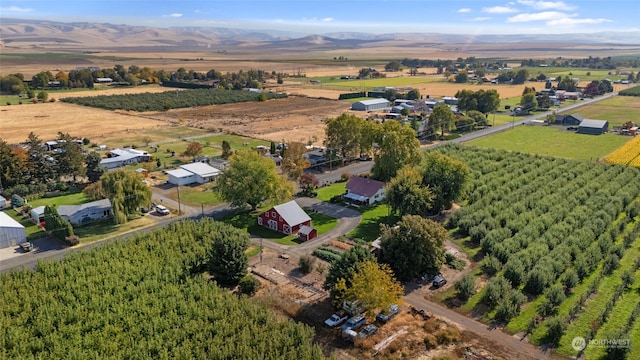 birds eye view of property featuring a mountain view and a rural view