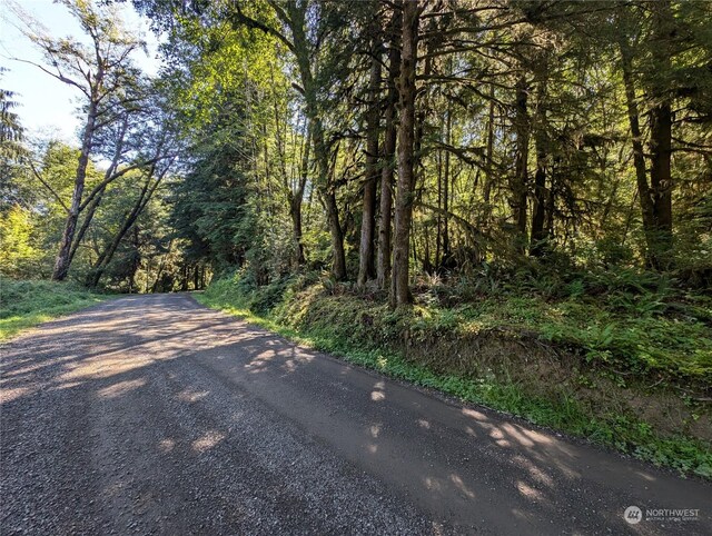 99991 Dowans Creek Rd, Forks, WA 98331