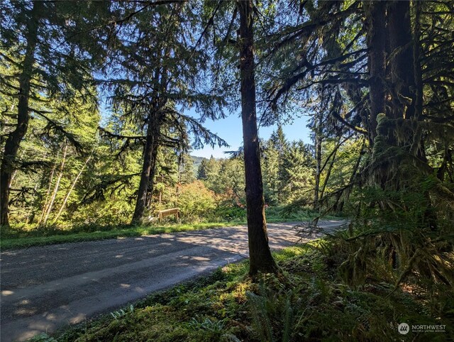 99991 Dowans Creek Rd, Forks, WA 98331