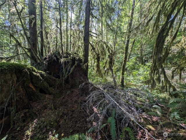 99991 Dowans Creek Rd, Forks, WA 98331