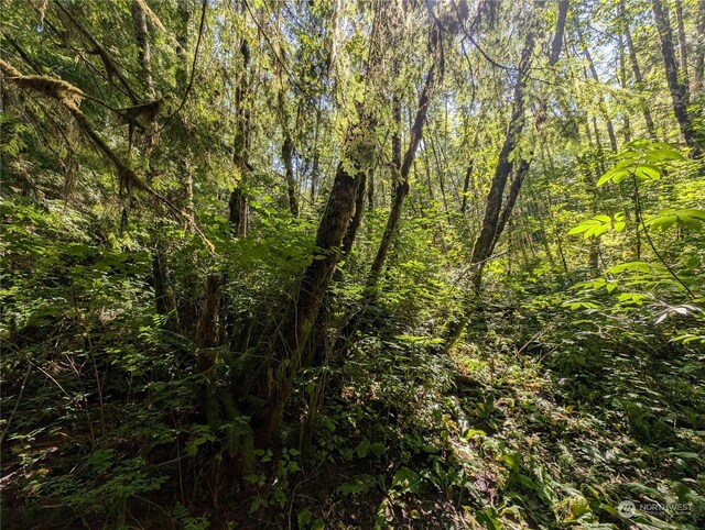 99991 Dowans Creek Rd, Forks, WA 98331