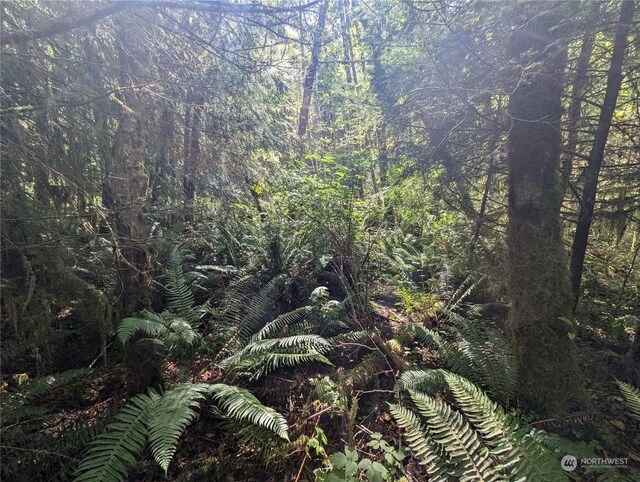 99991 Dowans Creek Rd, Forks, WA 98331