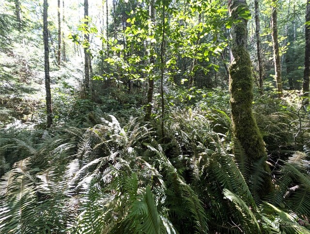 99991 Dowans Creek Rd, Forks, WA 98331