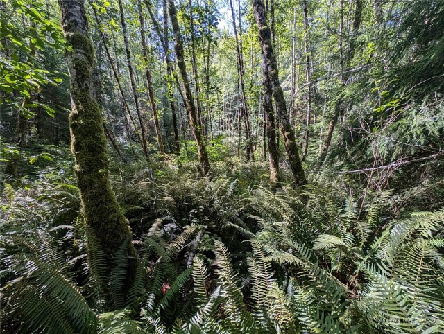 99991 Dowans Creek Rd, Forks, WA 98331
