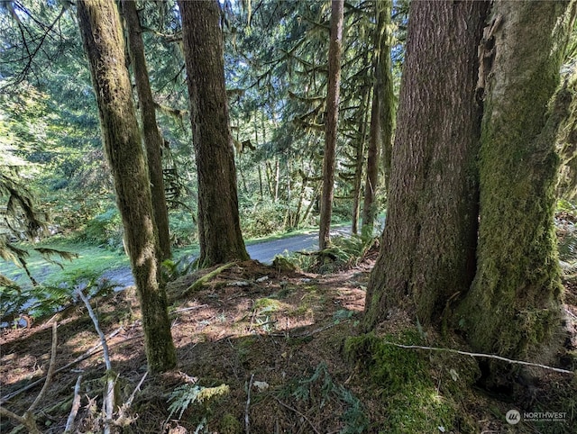 99991 Dowans Creek Rd, Forks, WA 98331
