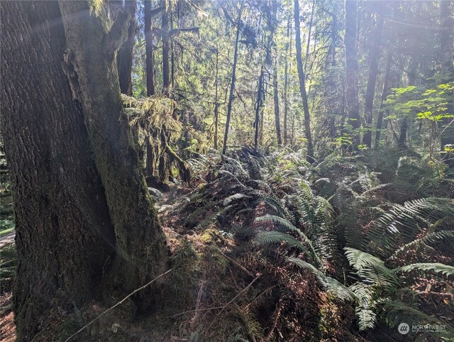 99991 Dowans Creek Rd, Forks, WA 98331