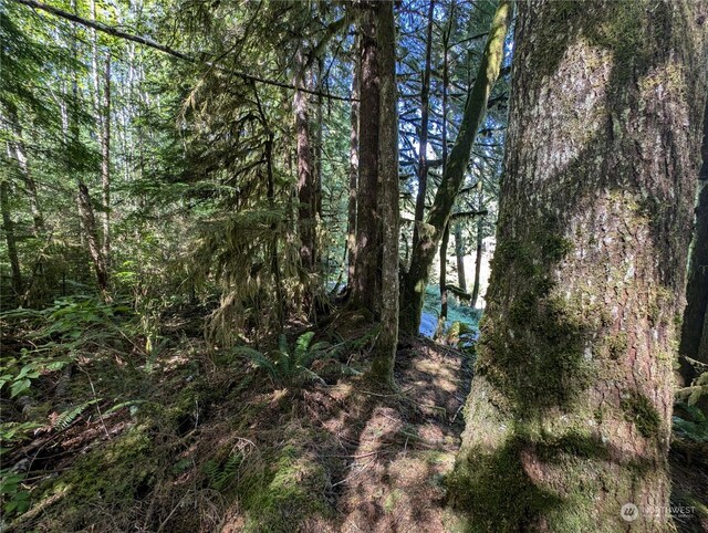 99991 Dowans Creek Rd, Forks, WA 98331