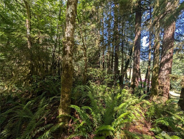 99991 Dowans Creek Rd, Forks, WA 98331