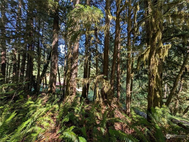 99991 Dowans Creek Rd, Forks, WA 98331
