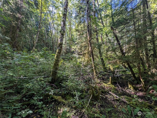99991 Dowans Creek Rd, Forks, WA 98331